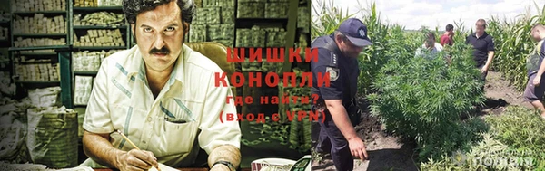 а пвп мука Верея