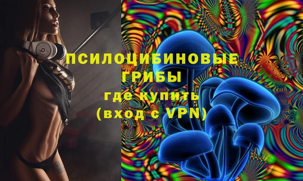 МДПВ Верхний Тагил